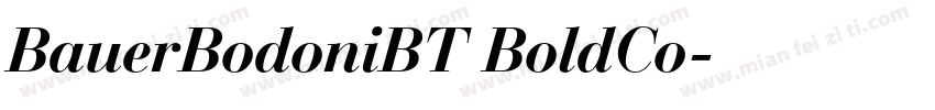 BauerBodoniBT BoldCo字体转换